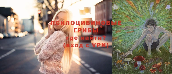 молекула духа Алзамай