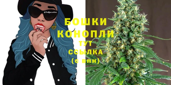 амф Елизово