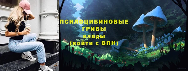 герыч Алексин